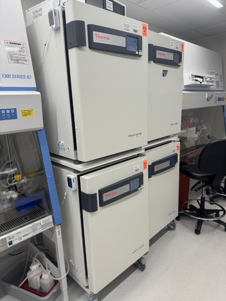Image of Thermo HERAcell Vios 160i Double Stack CO2 incubator